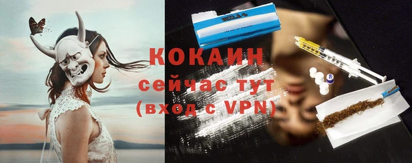 индика Белоозёрский