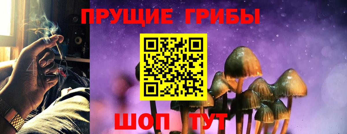 Псилоцибиновые грибы Magic Shrooms Реж
